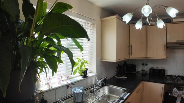 Elmfield Road, Nuneaton